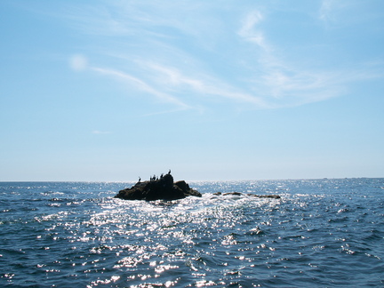 20070810 153434